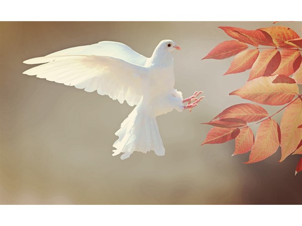 這四點方法將告訴你，如何為兒童進行科學啟蒙